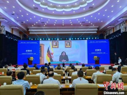 中国(怀化)—东盟绿色农产品对接会。　付敬懿 摄